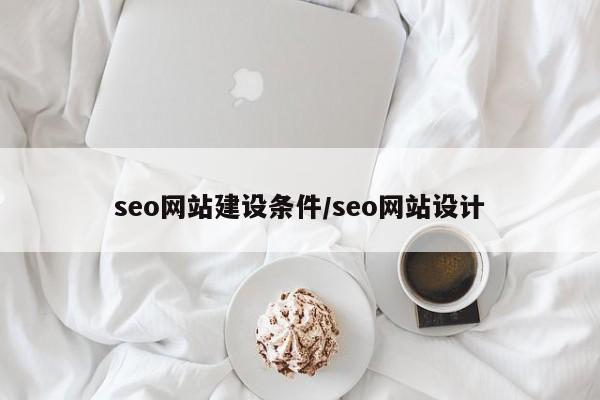 seo网站建设条件/seo网站设计